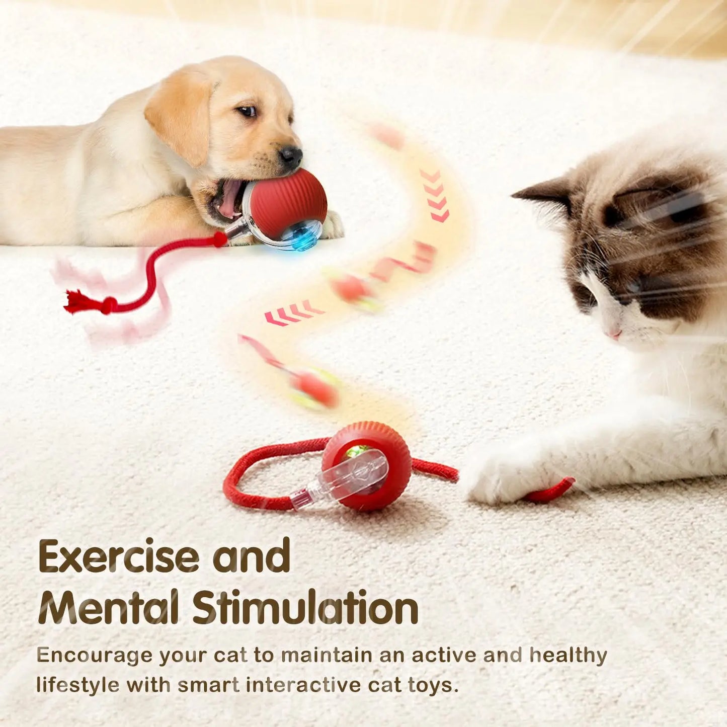 Balle intéractive pour chien & chat