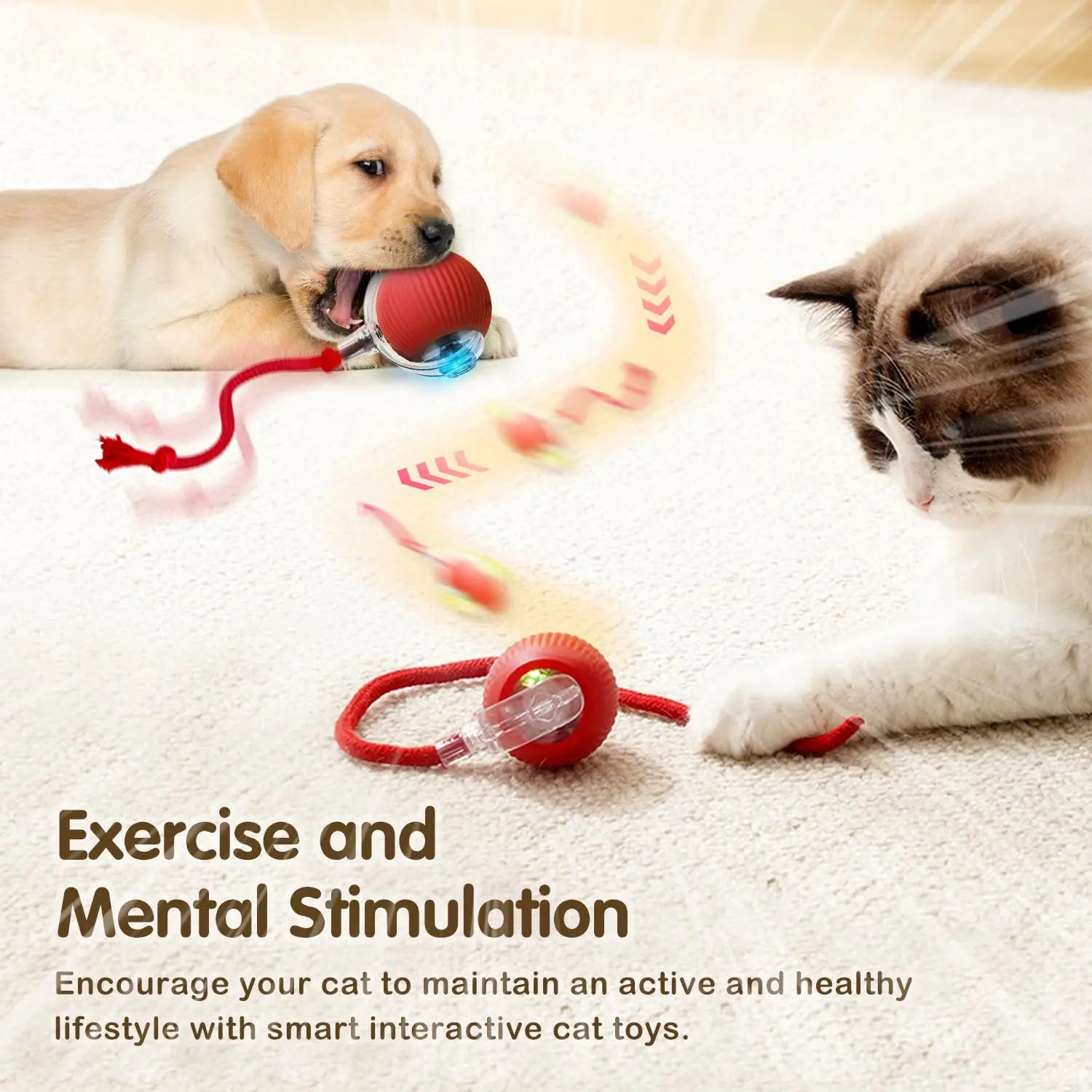 Balle intéractive pour chien & chat