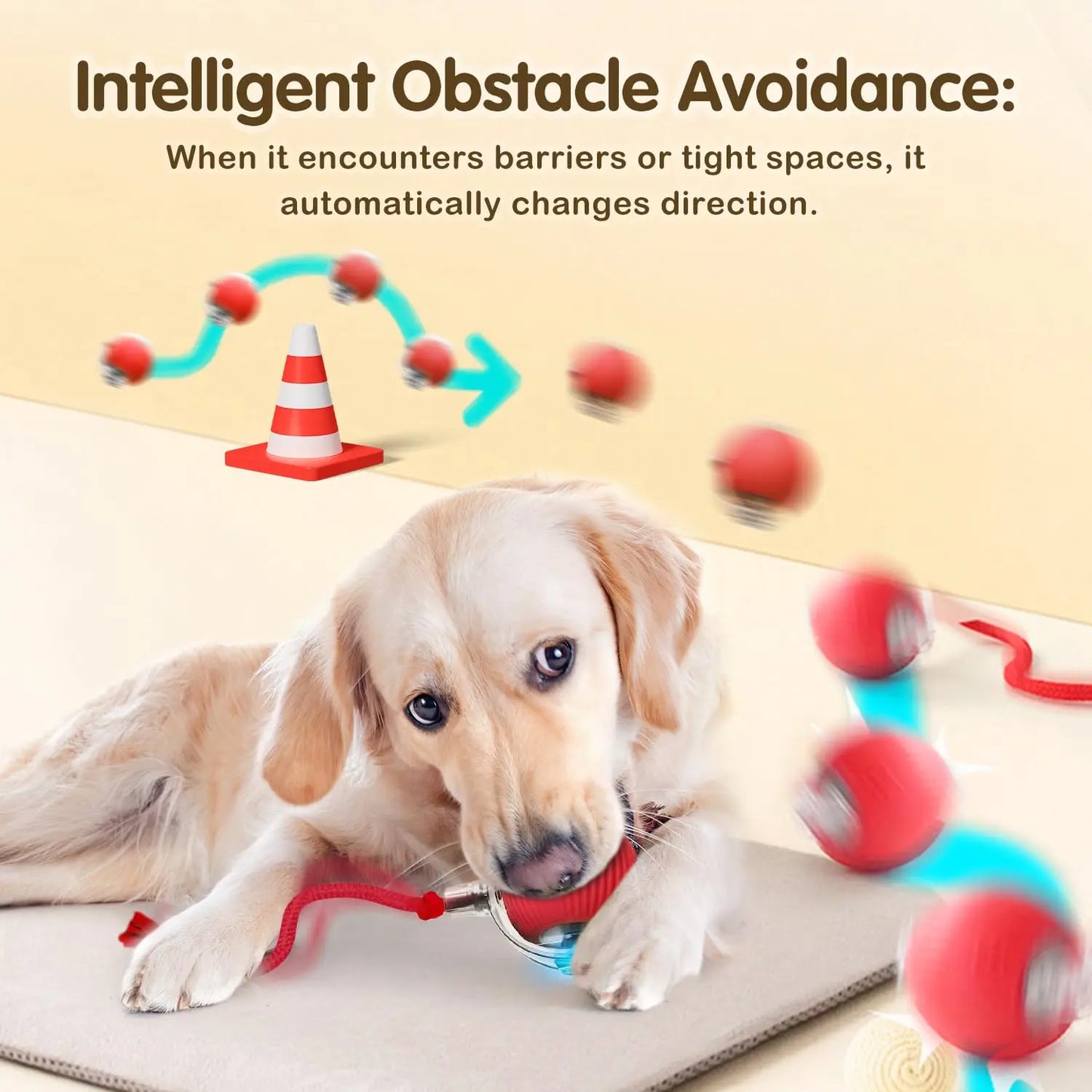 Balle intéractive pour chien & chat